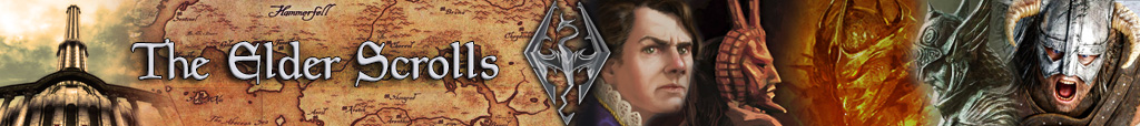 Imperial: Total War, Strategy, History